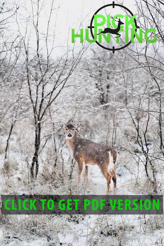 What Is The Plural Of Deer? [Secret Infos &amp; Hacks Revealed]