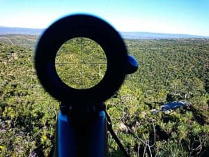 Types of Rifle Scopes - Choose The Right One From The Variety Range