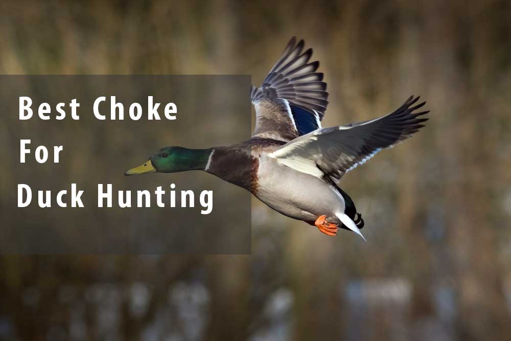 Best Choke For Duck Hunting 2022 | (Top 5 Picks)