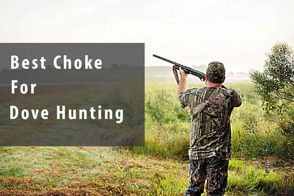 Best Choke For Dove Hunting 2022 [Top 5 Picks]