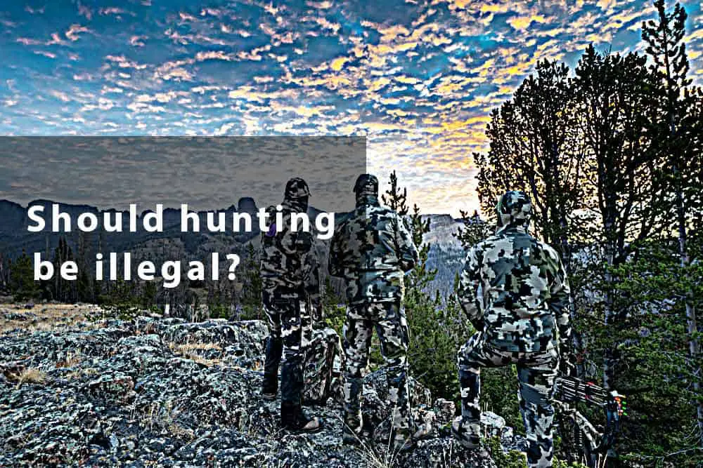 should-hunting-be-illegal-answer-with-explanation