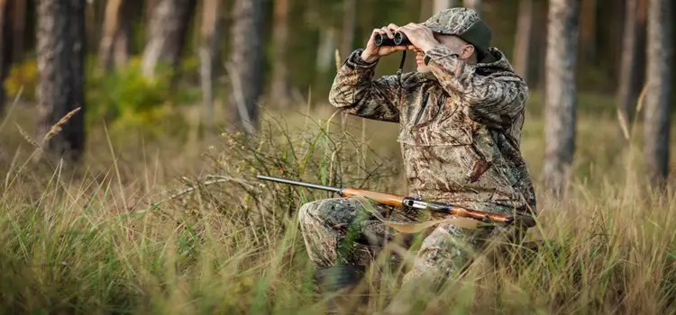 Top 5 Best Elk Hunting Binoculars Worth To Buy - PickHunting