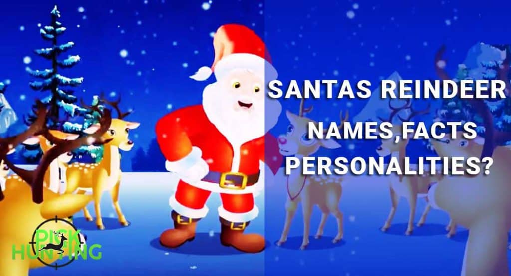 What Are The Names Of Santas 12 Reindeers