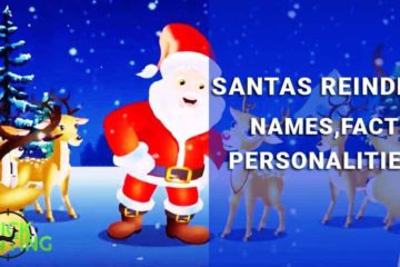 santas reindeer names