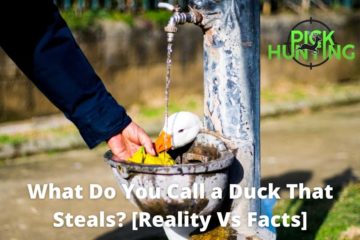 what do you call a duck that steals
