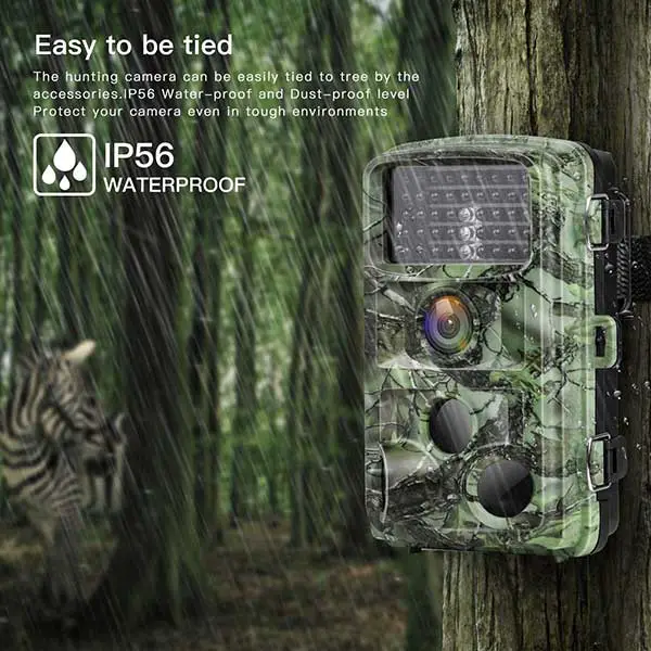 Best Trail Cameras For Hunters
